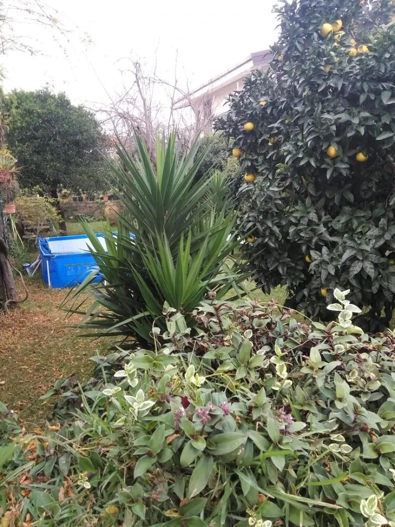 Villa With 2 Bedrooms In San Giovanni La Punta, With Private Pool, Furnished Terrace And Wifi - 10 Km From The Beach