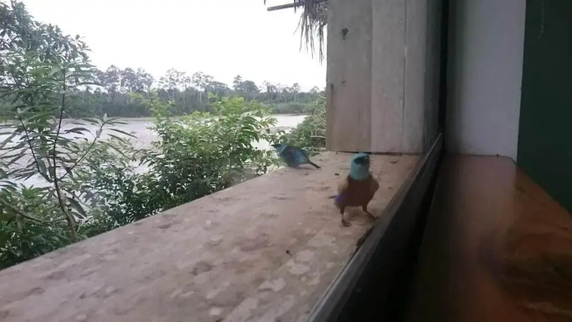 Hostería Piedra de Vapor