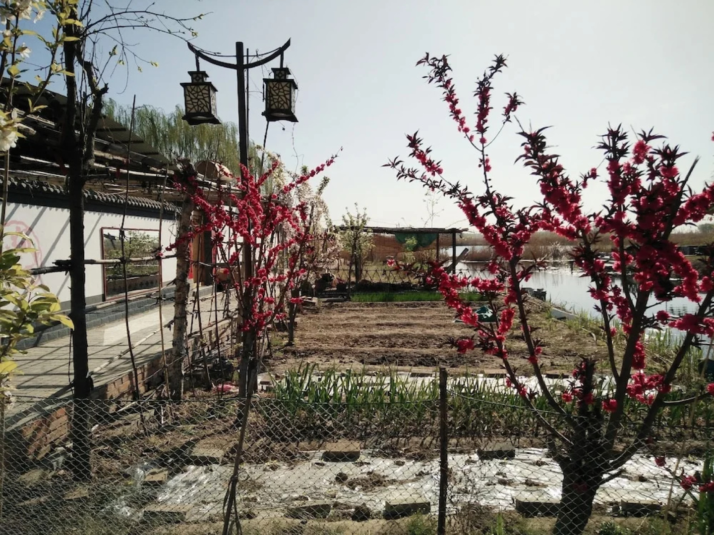 Baiyangdian Xinzhi Guesthouse