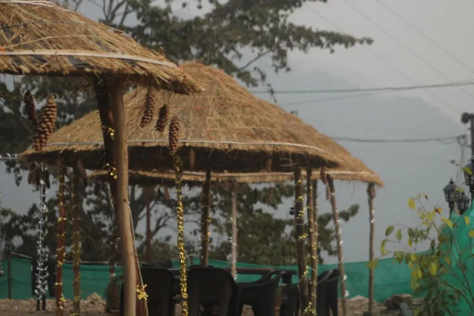 The Jungle Mist Resort