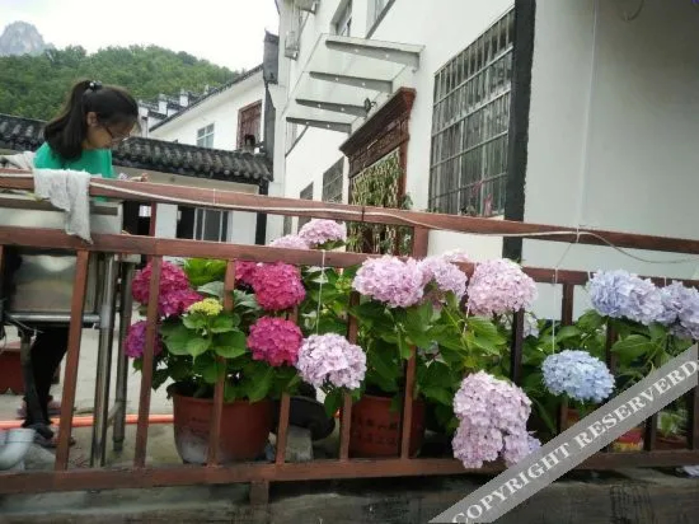 Xixia Laojieling Manor No.36