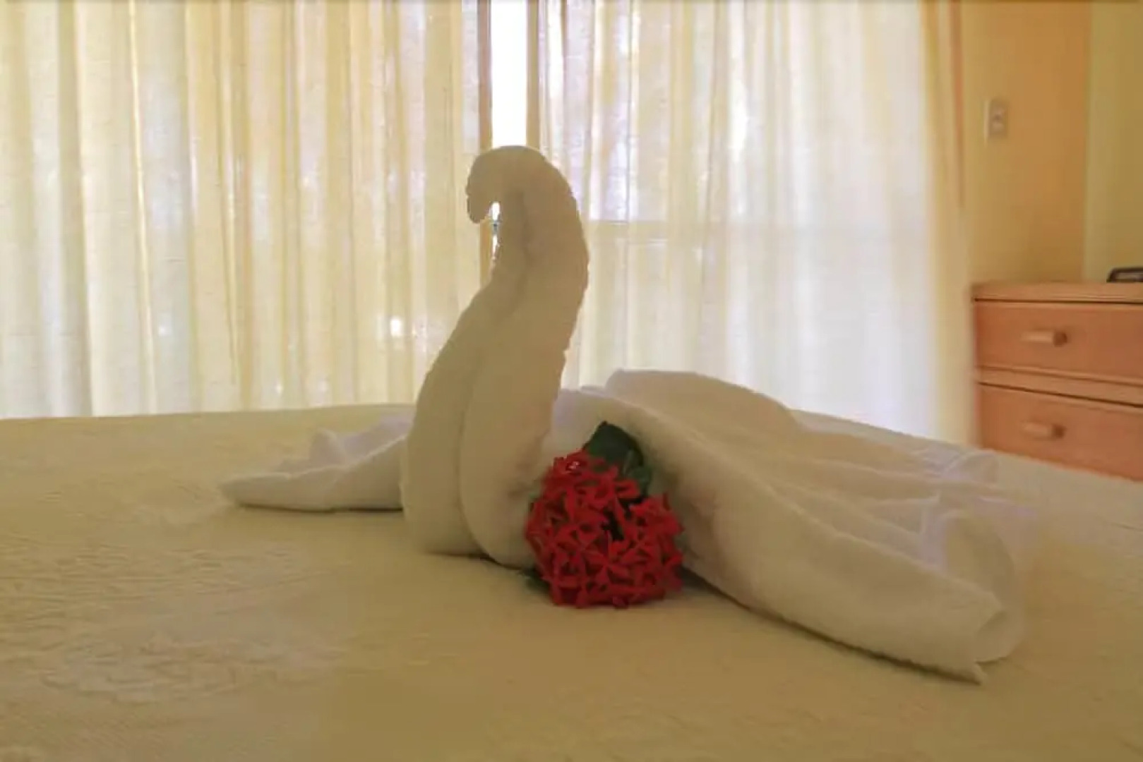 Allamanda Beach Club by RedAwning