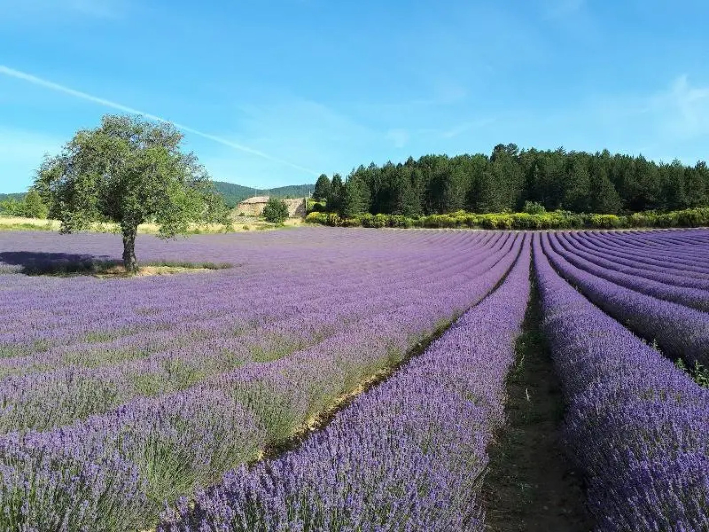 Vvf Villages Montbrun Les Bains