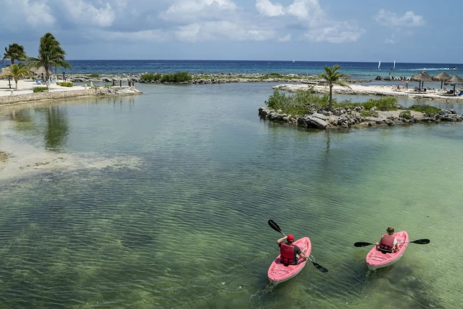 Homing Bird Apartments