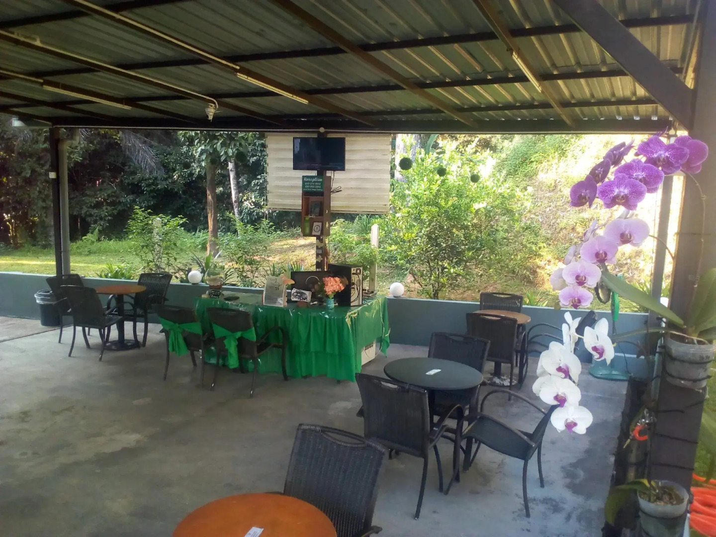 Green Peace Sungai Lembing