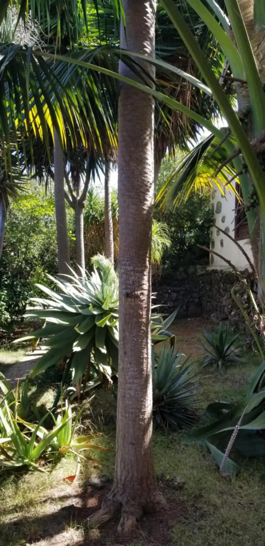 La Casita de la Vega