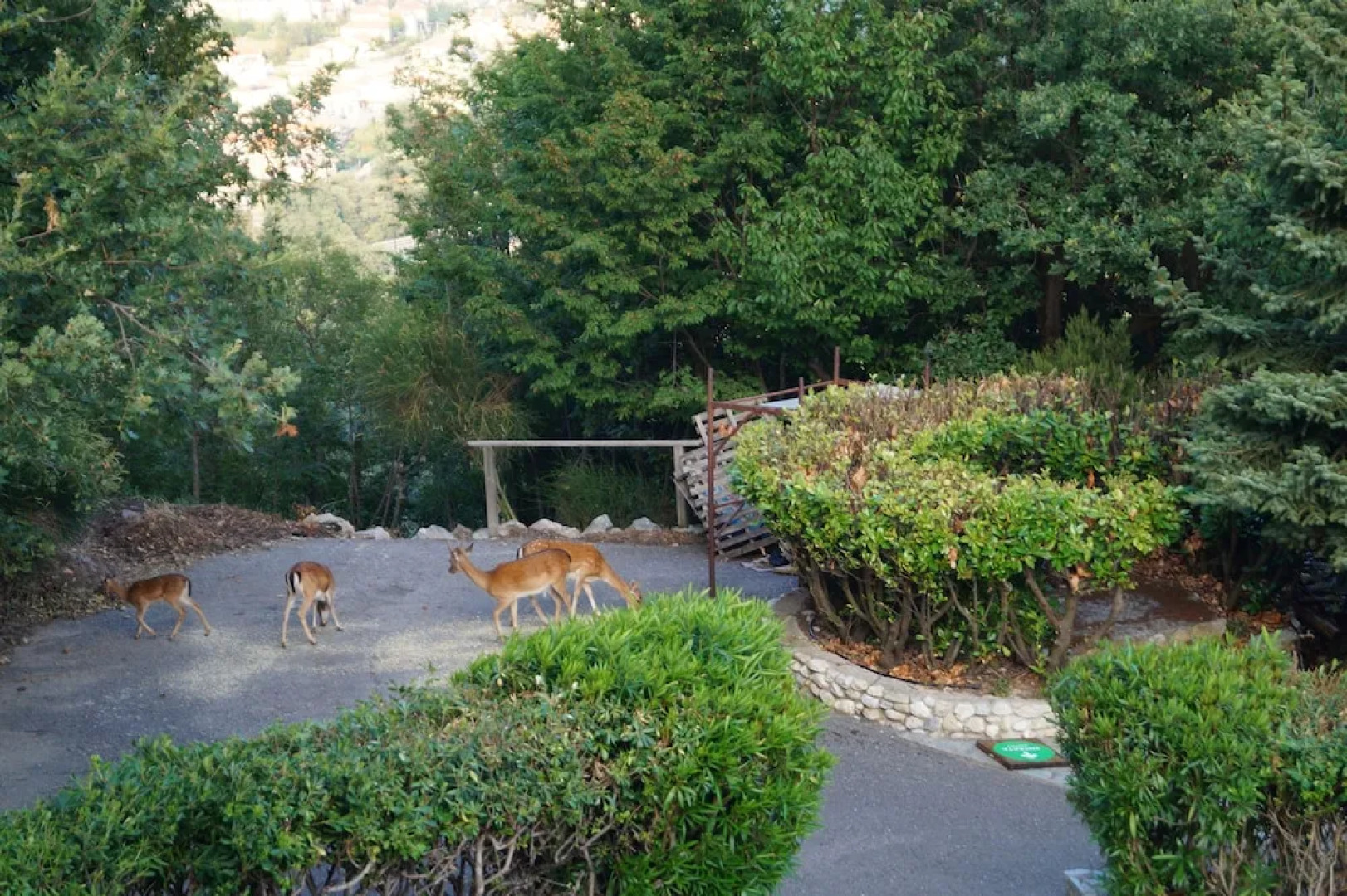 Belbea Tourist Resort **