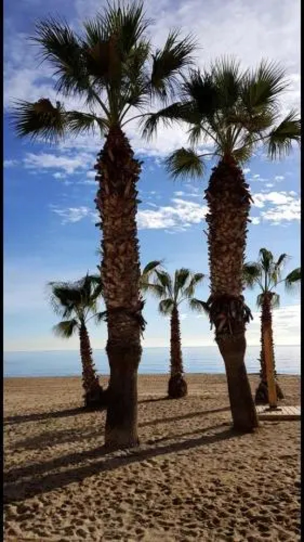 SI Apartamentos Benicassim