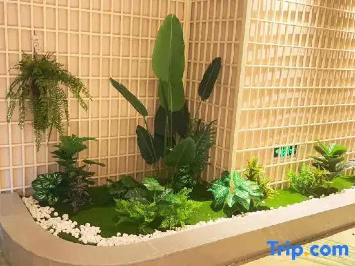 Yingtan Tianhui Haojing Hotel