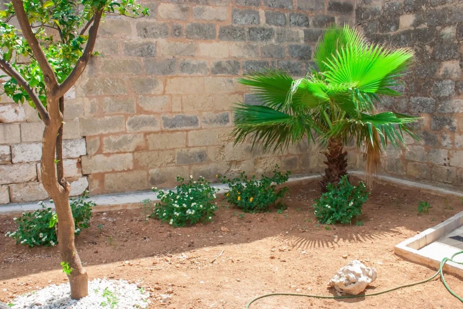 Riz Salento Guest House