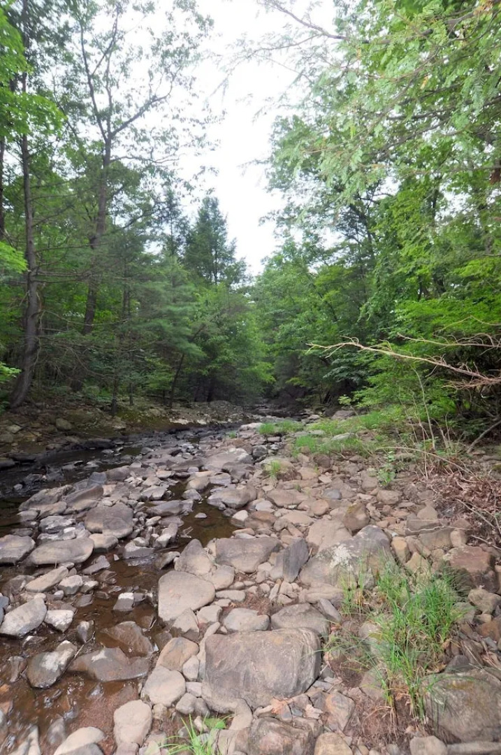 Rosies Creekside Retreat - 3 BR Escape!