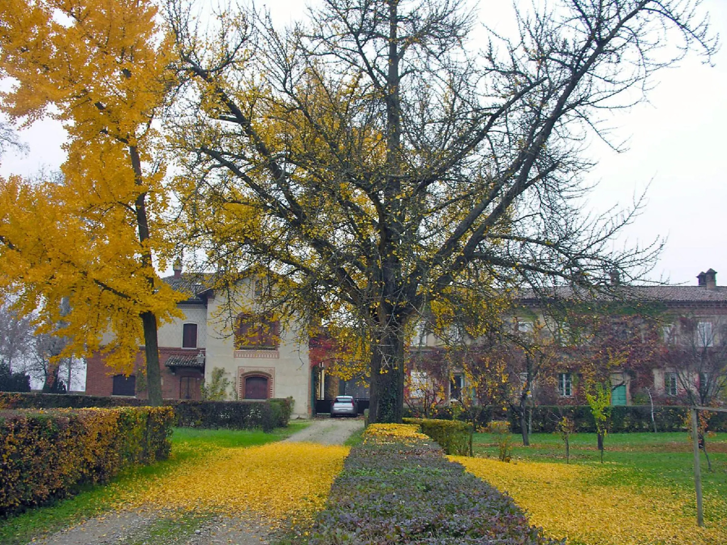 La Marchesina - Five Bedroom