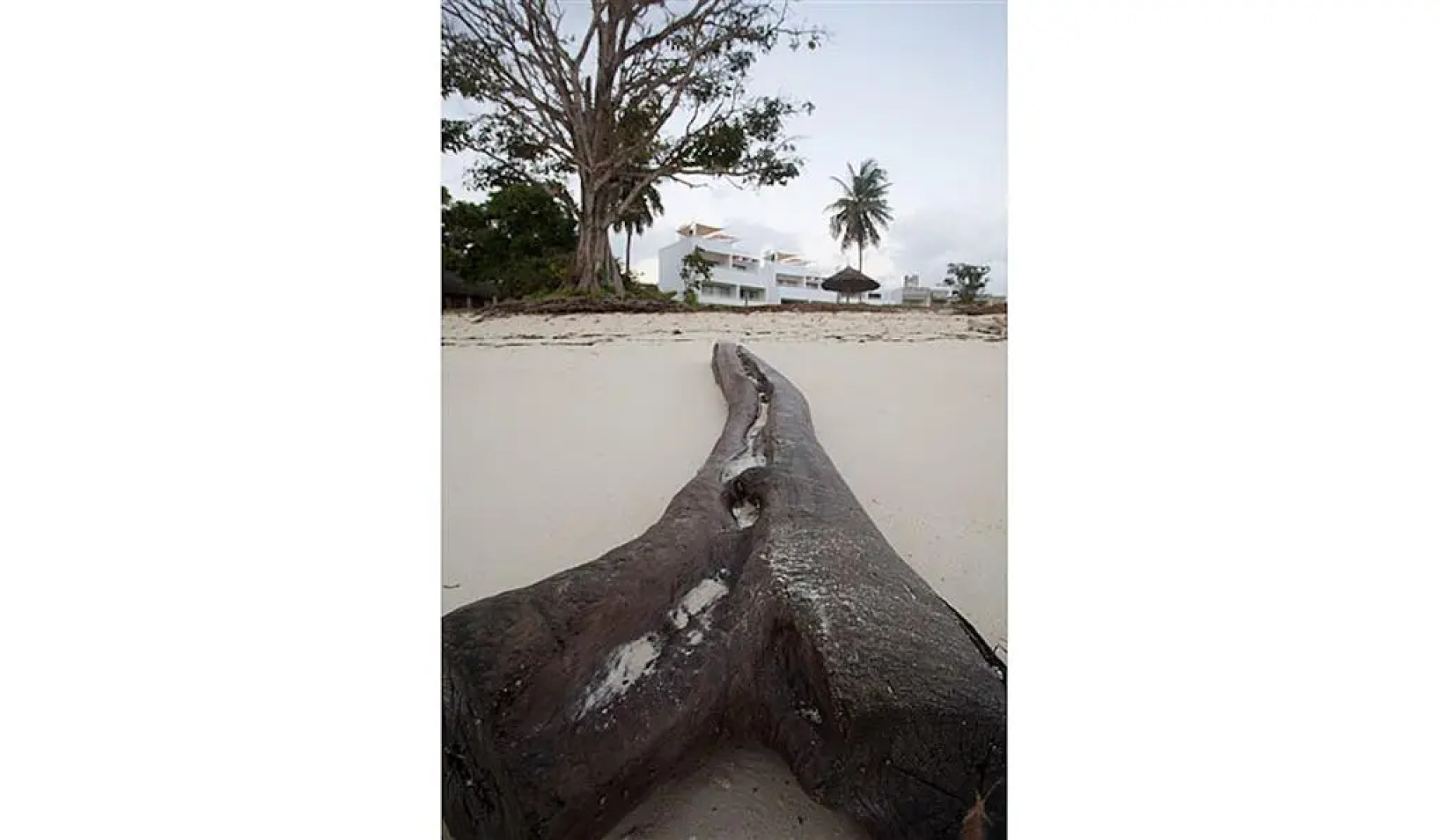 Villa Kalista Luxury Villas