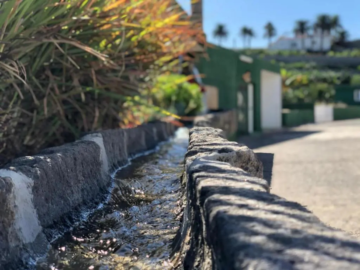 Villa Palmitos Resort Family