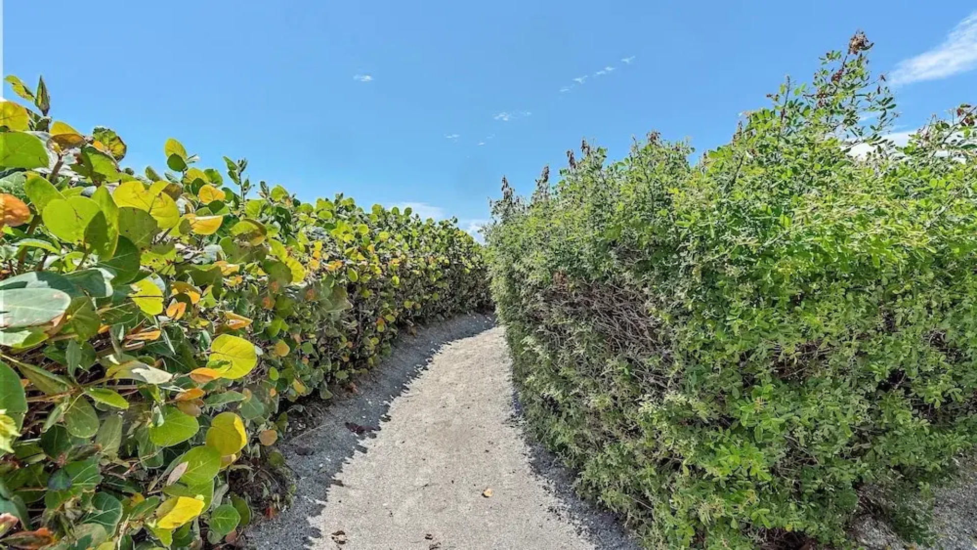 Pura Vida Two 2 Bedroom Condo by RedAwning