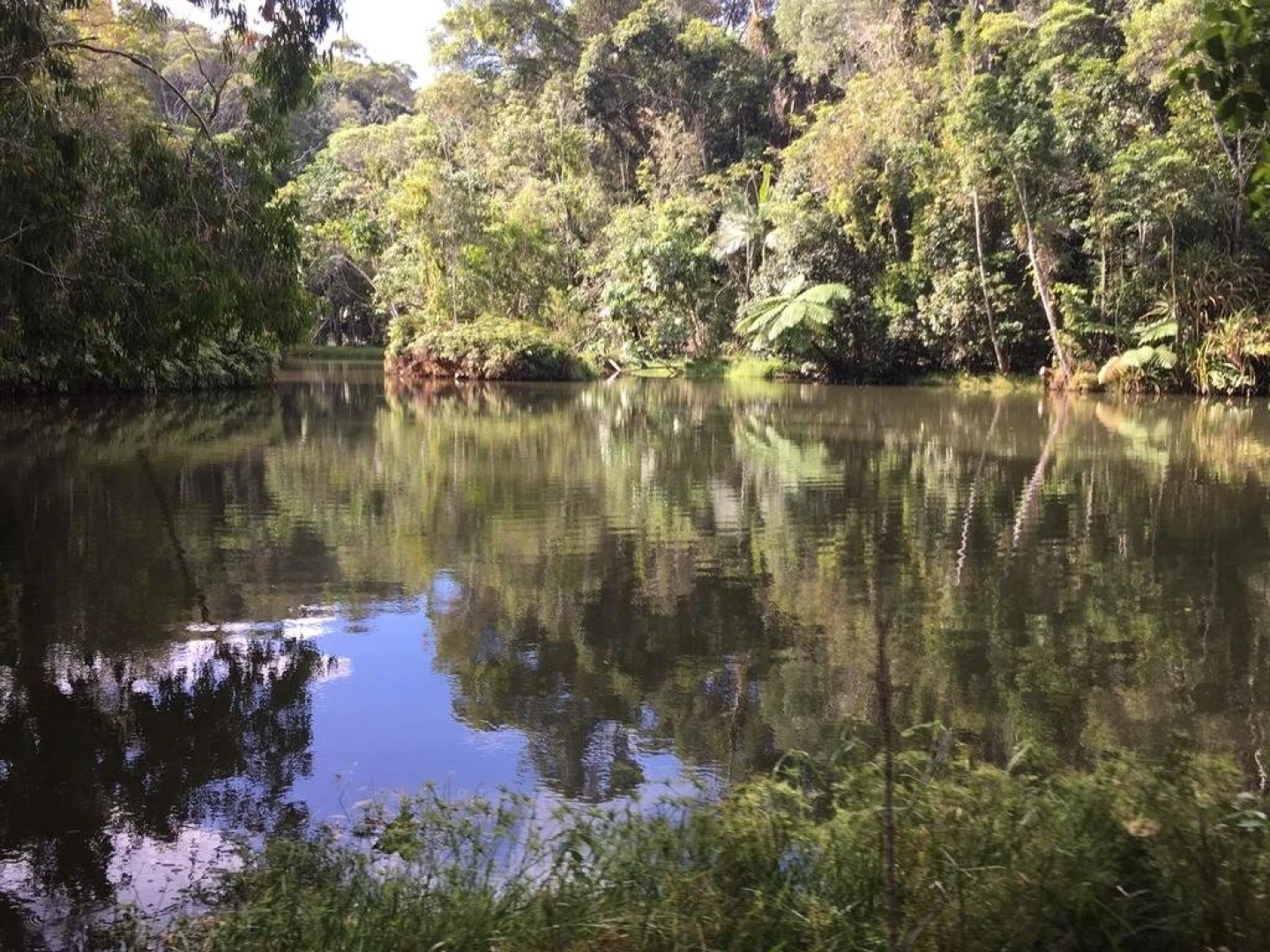 Platypus Springs Rainforest Retreat