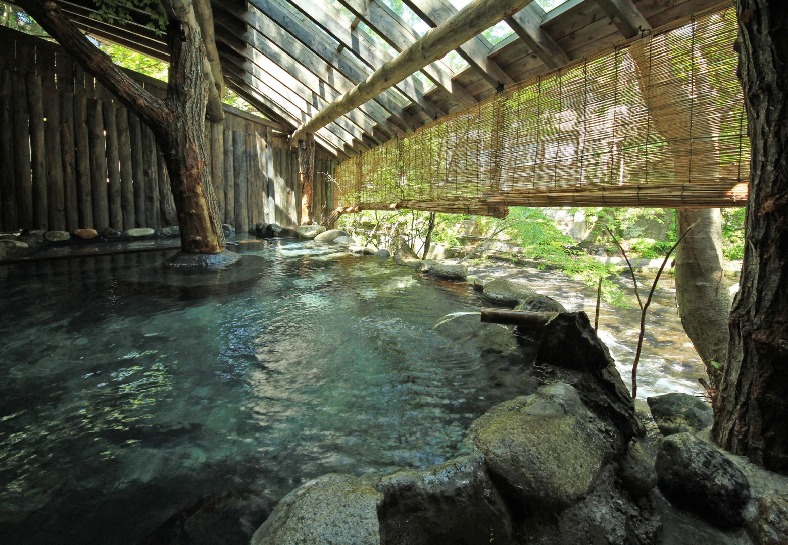 Kutsurogijuku Shintaki