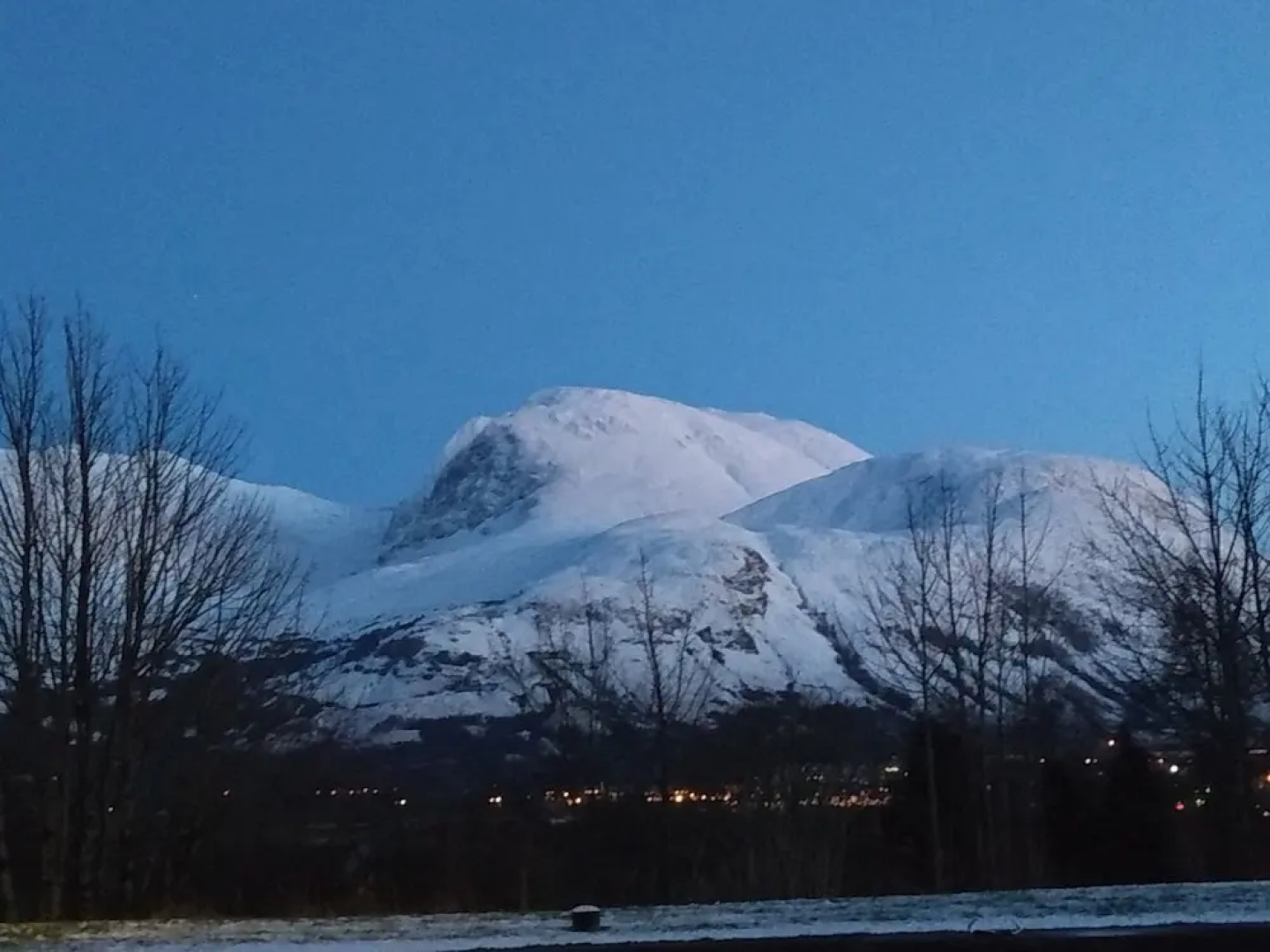 Braeburn Guest House / B&B