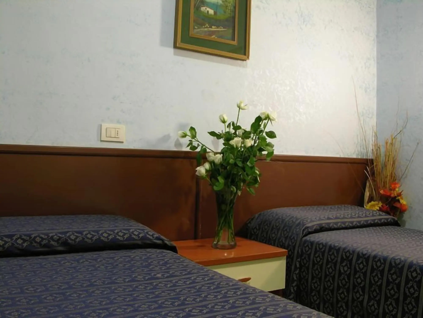 Alius Hotel