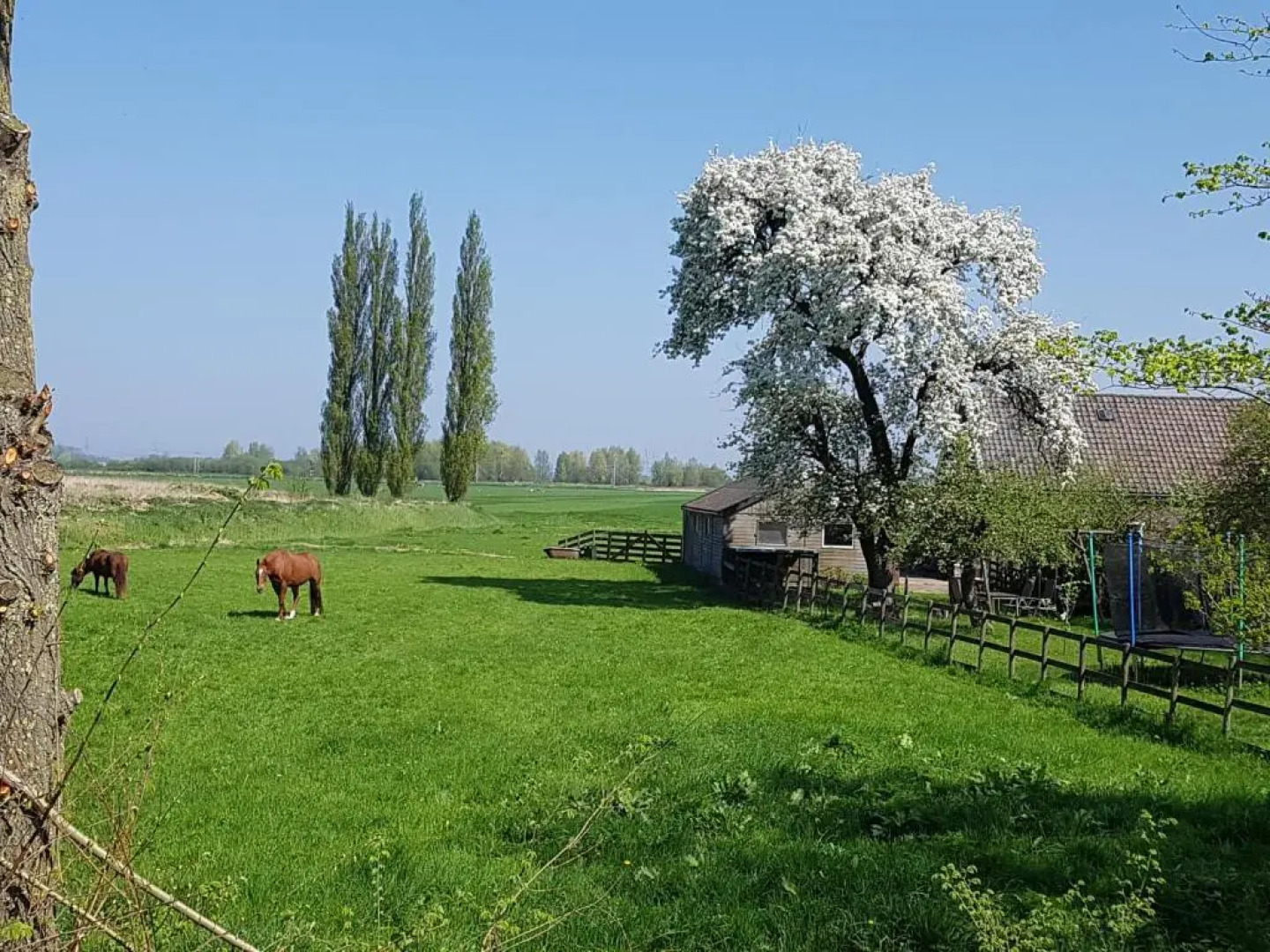 Het Voorhuis boerderij Hoeve Vrede Best