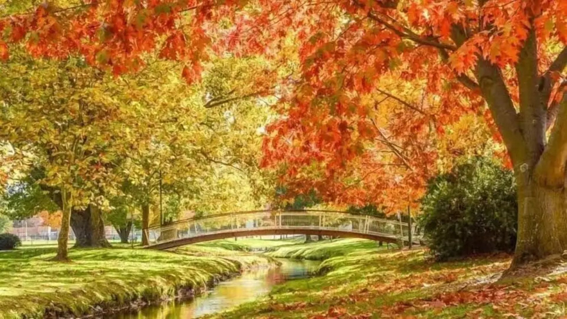 Charlesworth On The Park