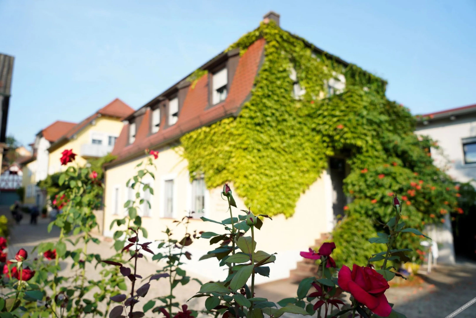 Weingut Martin Blass