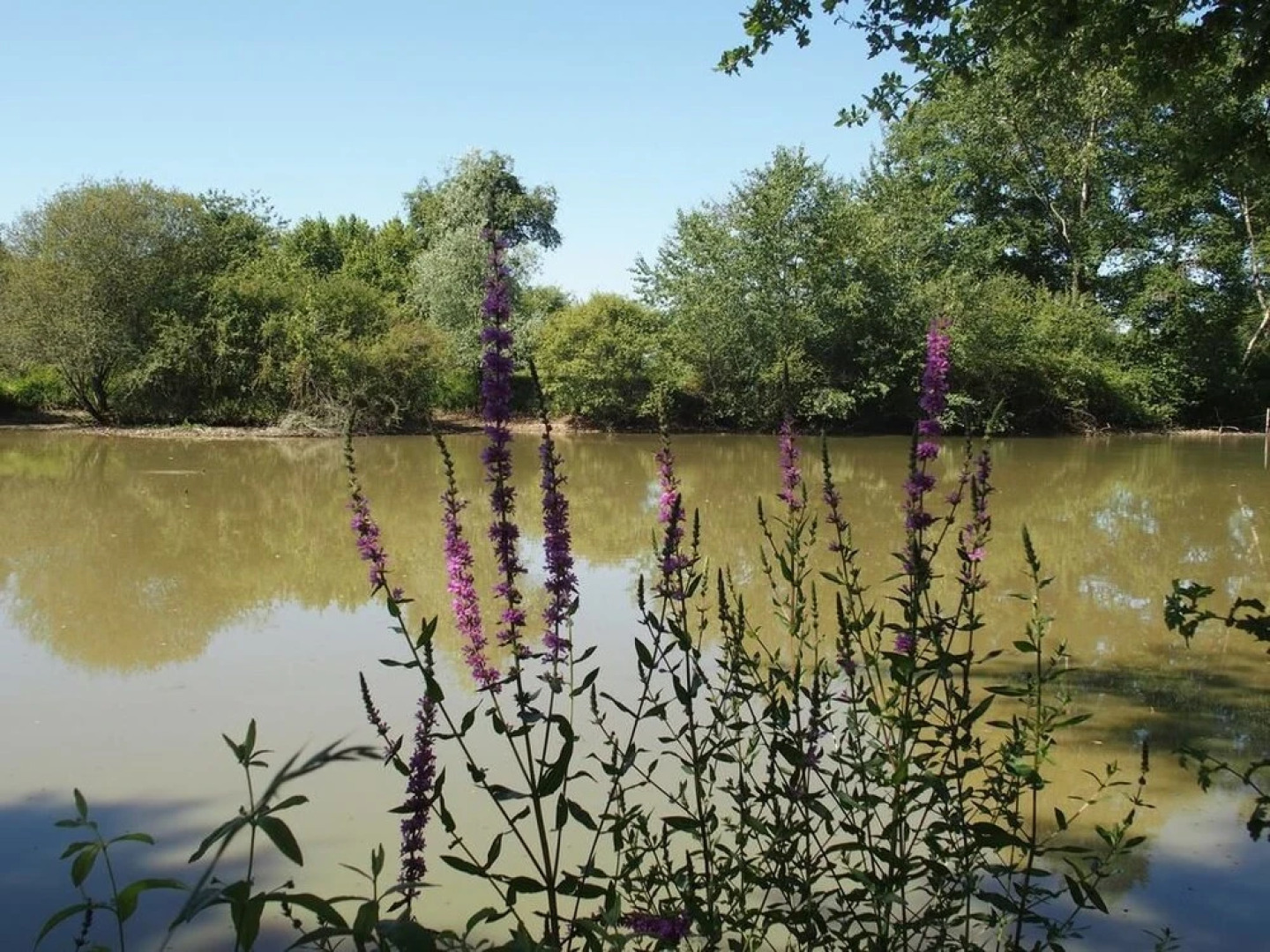 Pavillon De Subleine