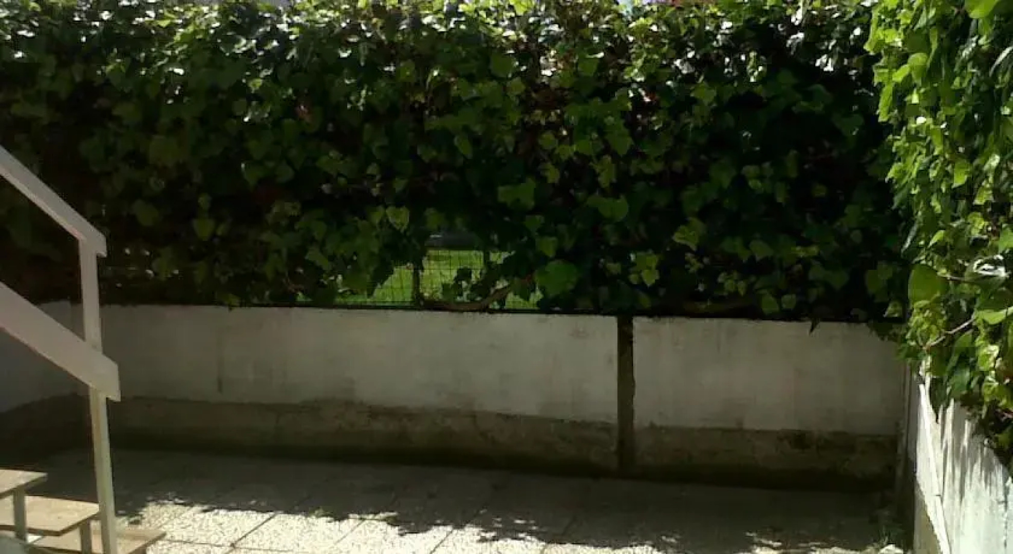 Vivi la versilia e le 5 terre