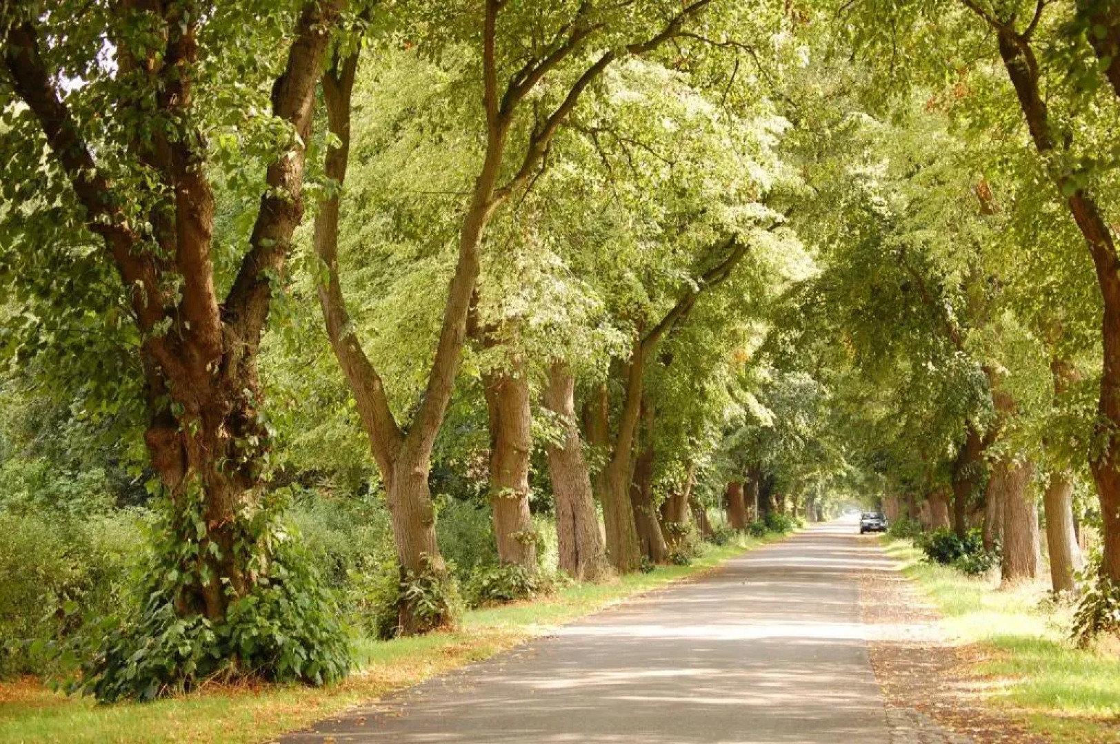 Land-gut-Hotel Allerhof