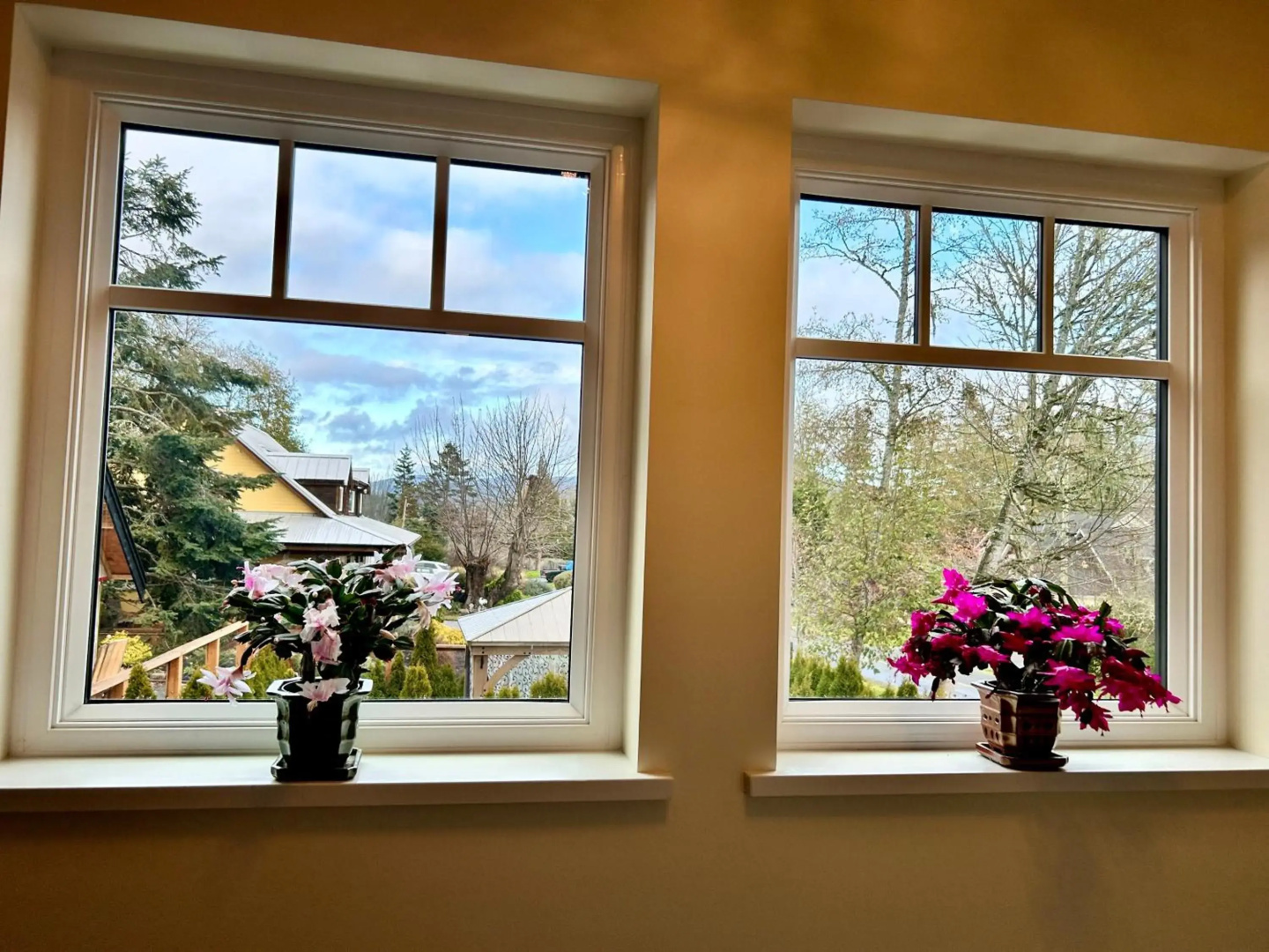 Seagull Studio Vacation Guest Suite