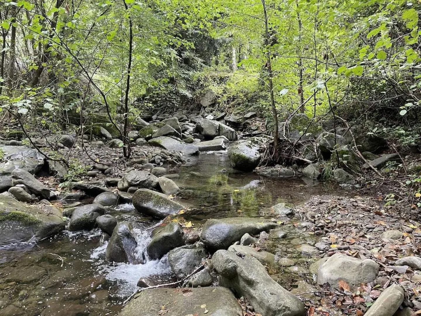 Bio Agriturismo il Vigno