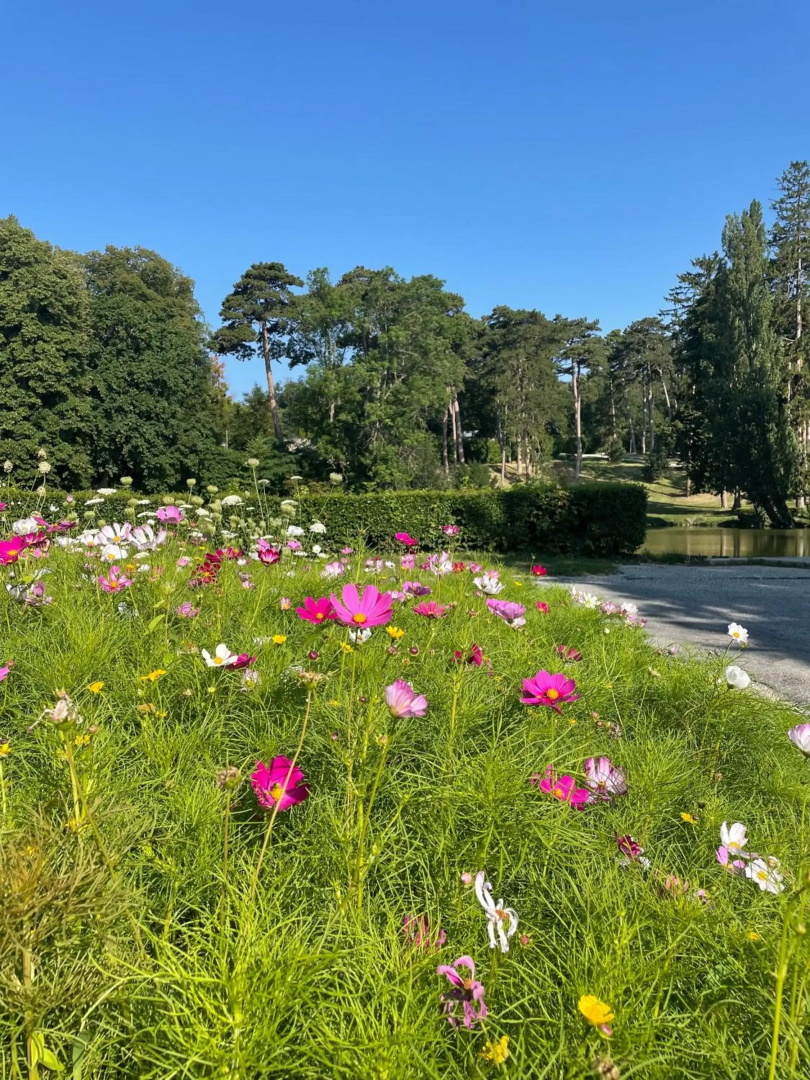 Turm am Schlosspark Eisenstadt