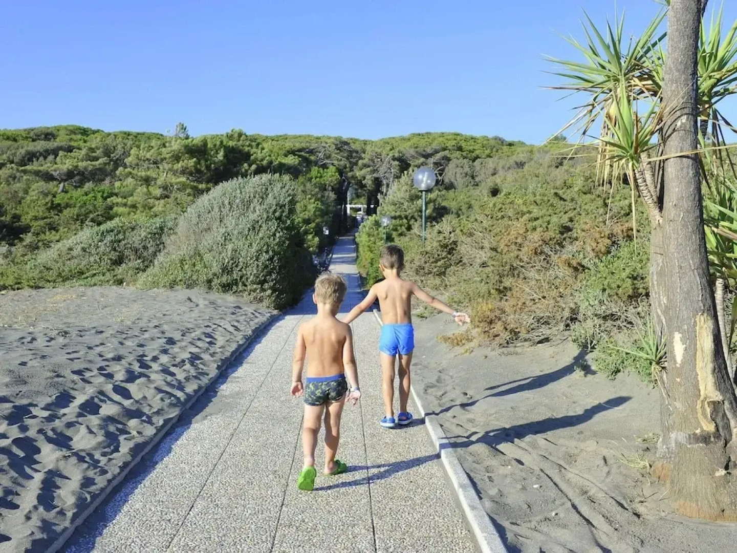 Apartment in Baia Domzia Near the sea