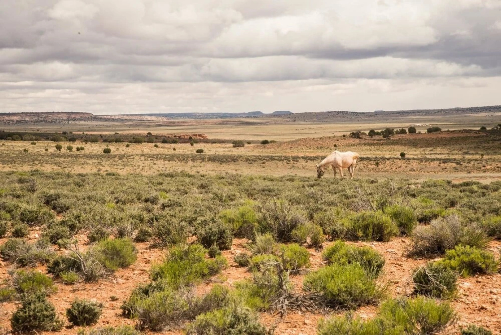 Shash Dine' EcoRetreat