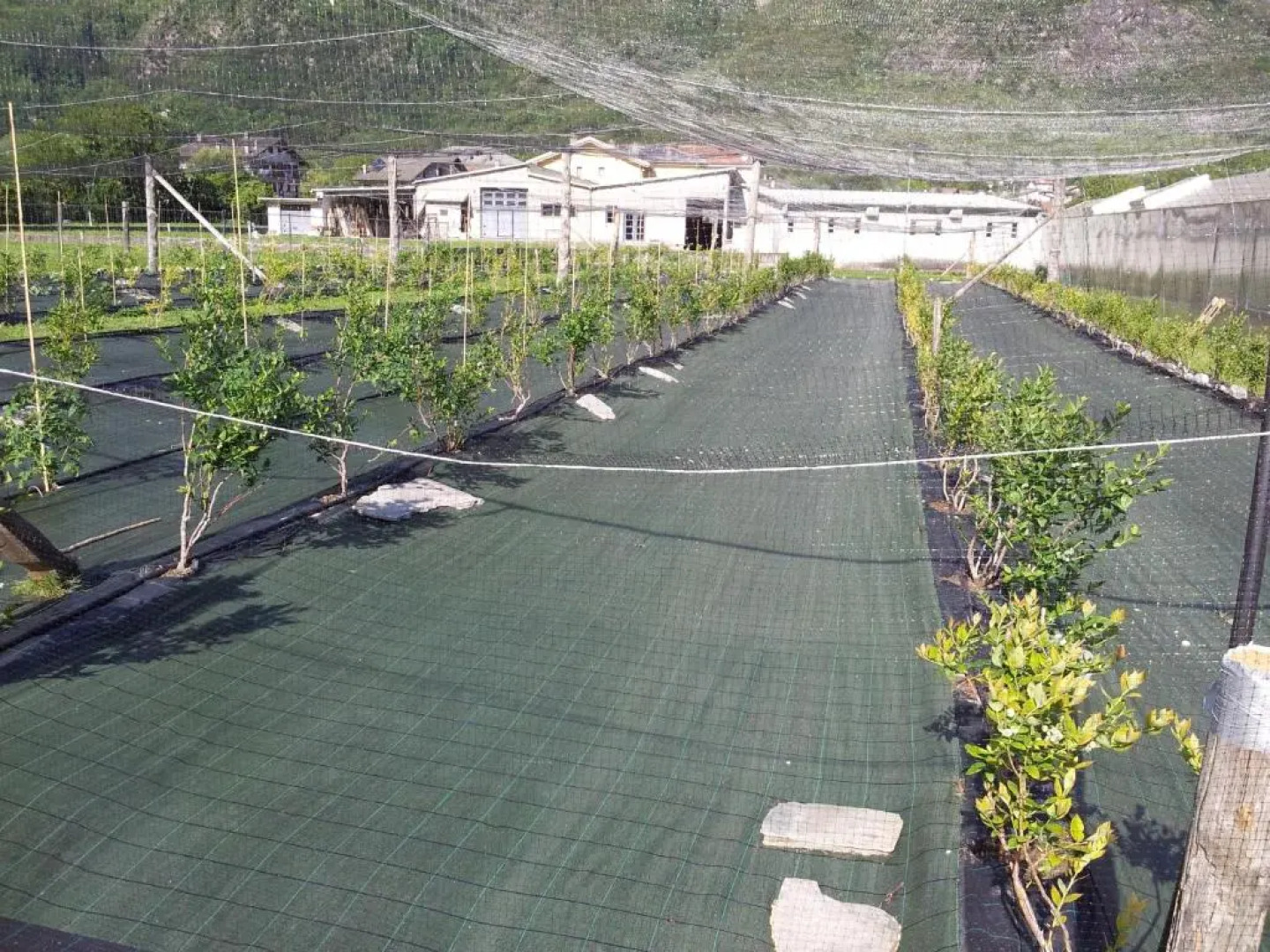 Agriturismo Al Palaz