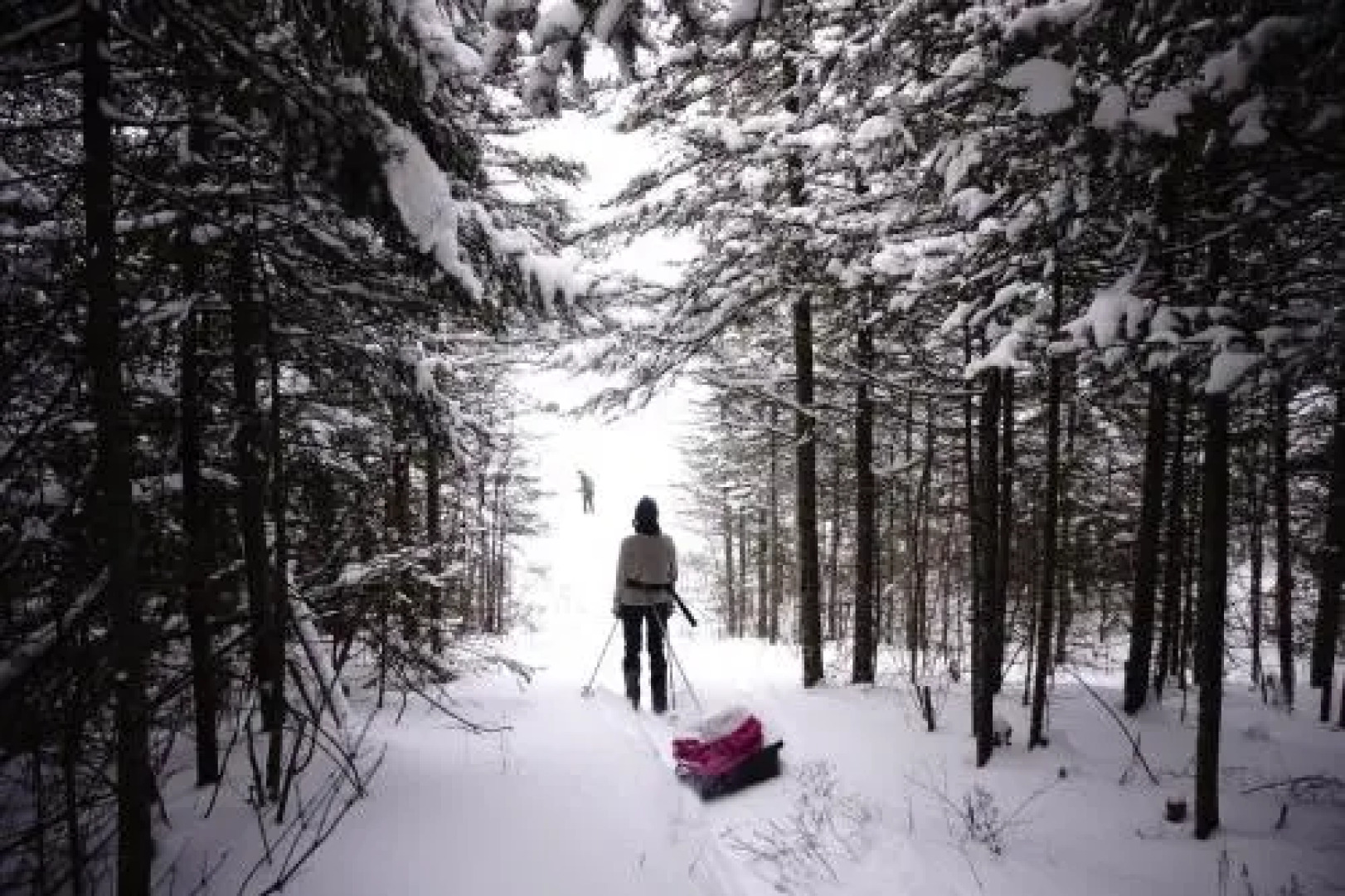 Aventure Rose Des Vents