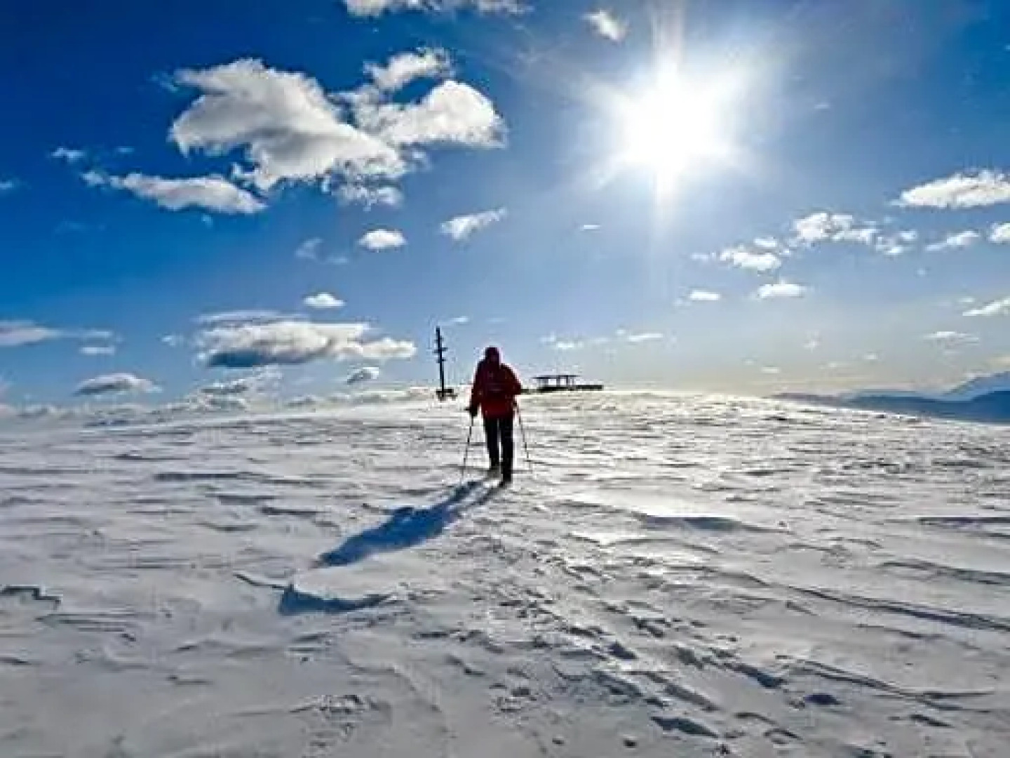 Gasthof Zum Grünen Baum