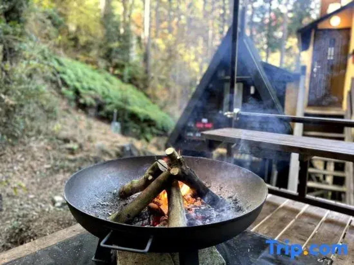 Minami Hakone Tree House