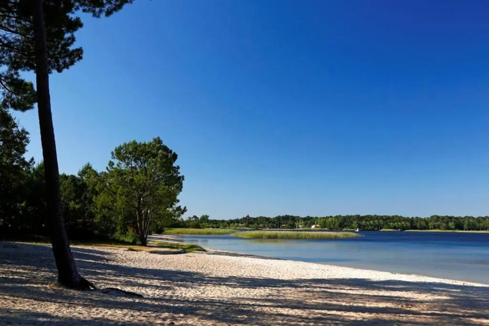 Superbe Studio meublé idéal pour couple ZEN avec SPA