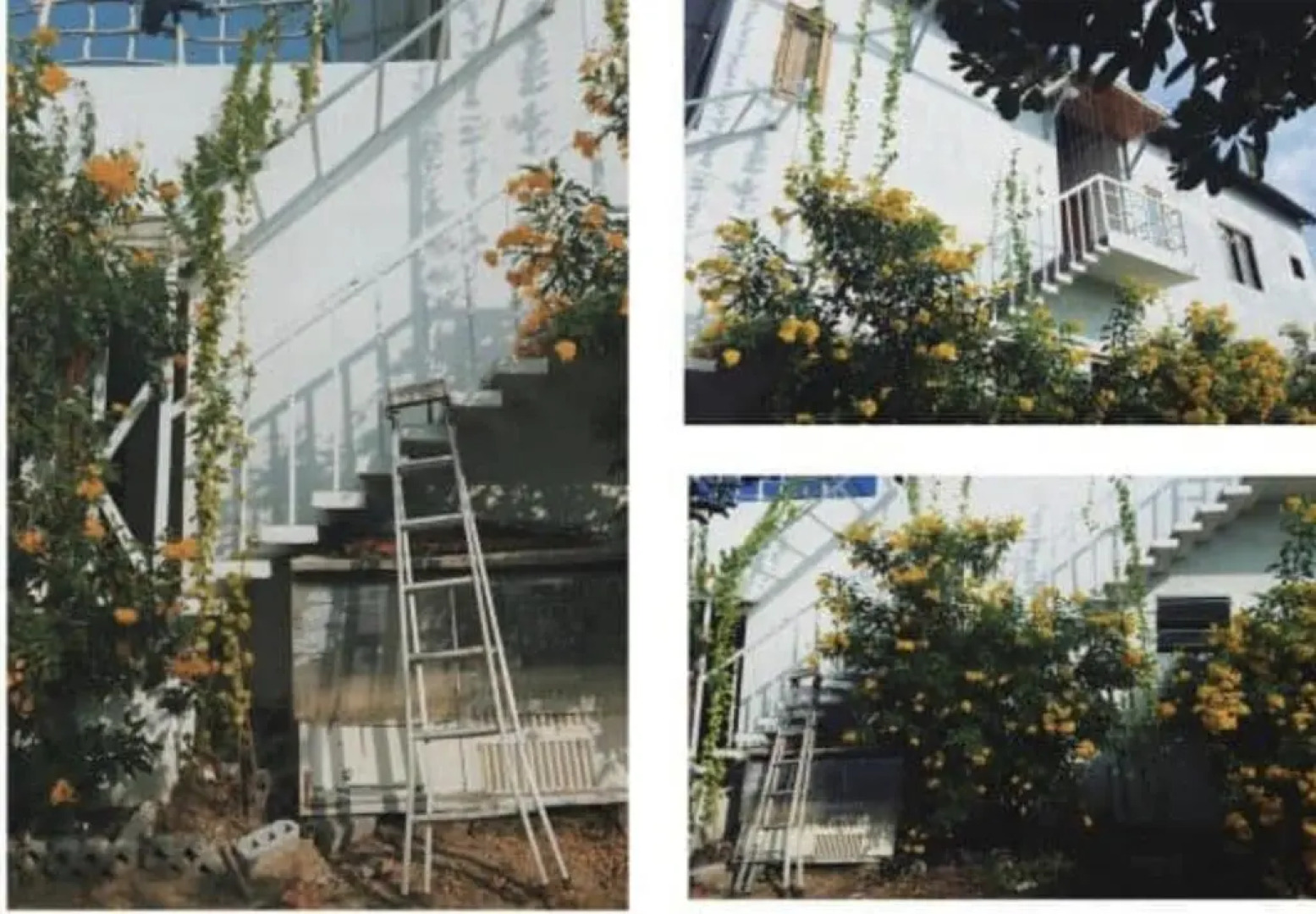 Villa Đảo Hoa Vàng Cam Ranh - Venue Travel