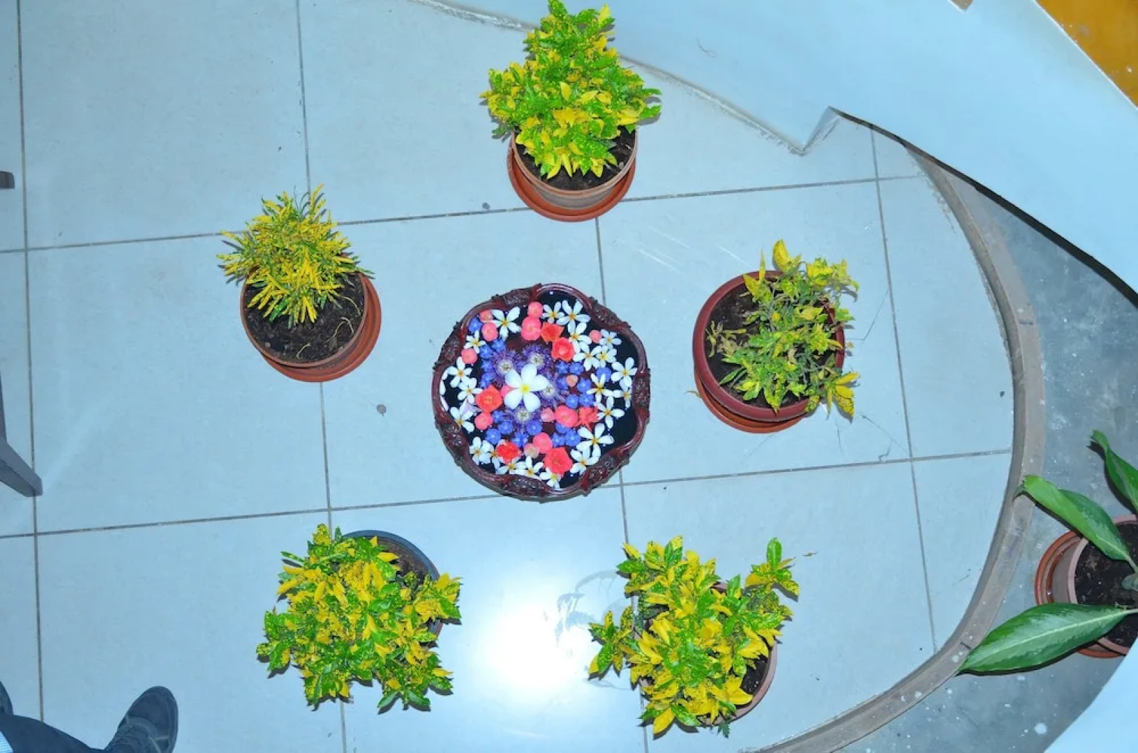 Vishal Prakruthi Resorts