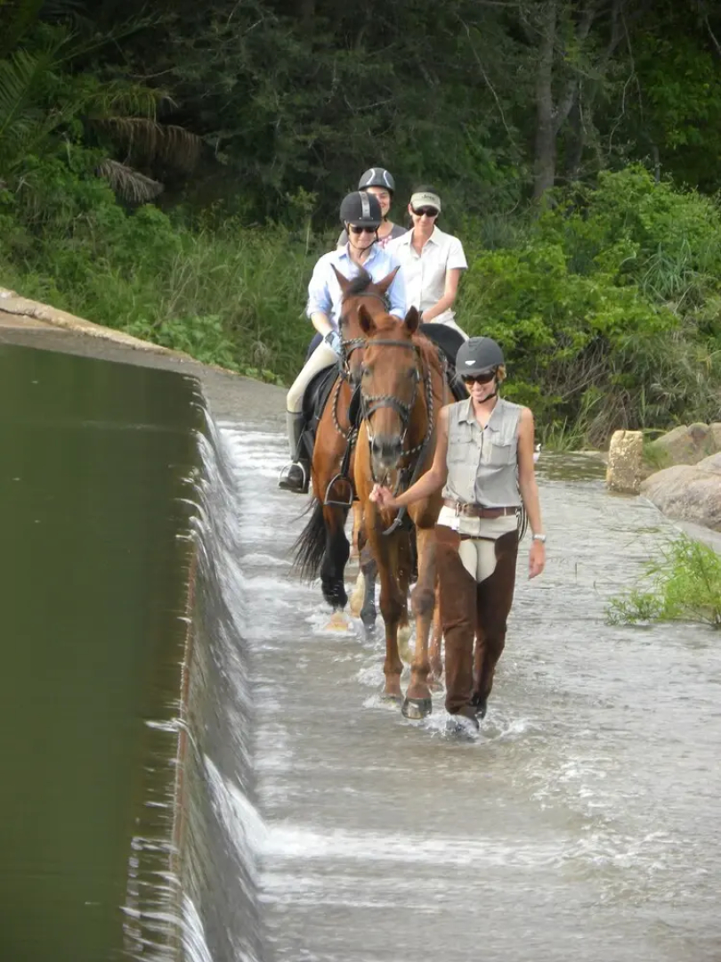Abelana Safari Camp