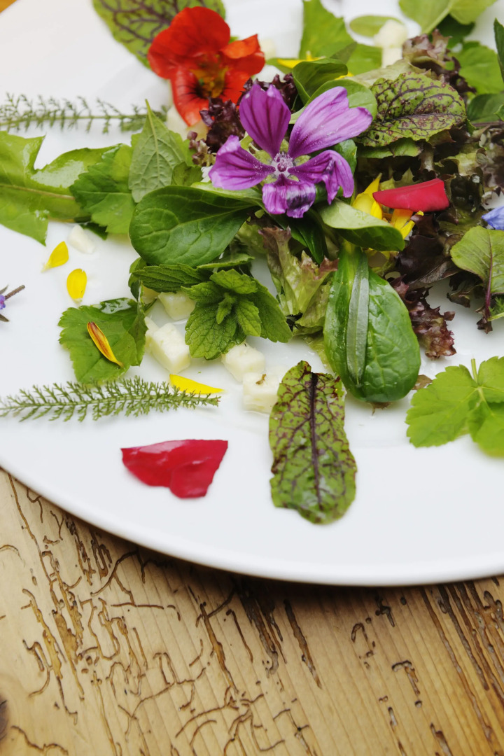 Landgasthof Rössle - Beim Kräuterwirt