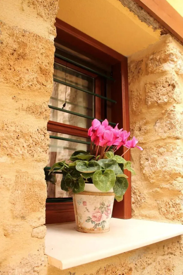 The House by the River