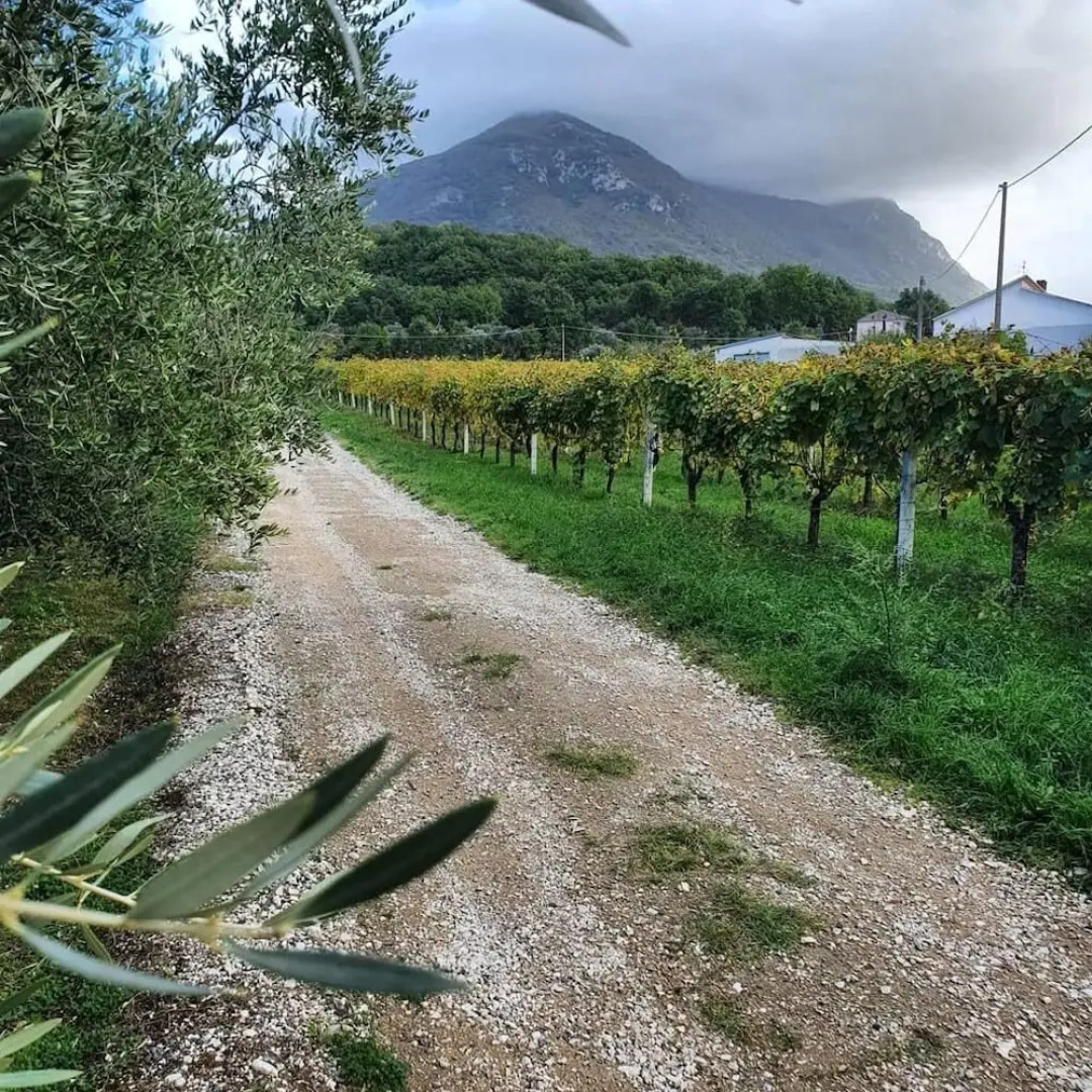 Unique Countryside Loft Room, Near Naples