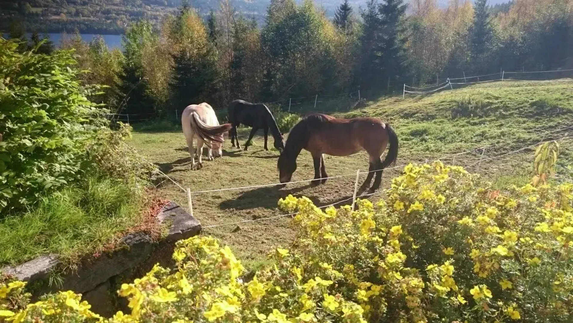 Telemark Inn - Hytte