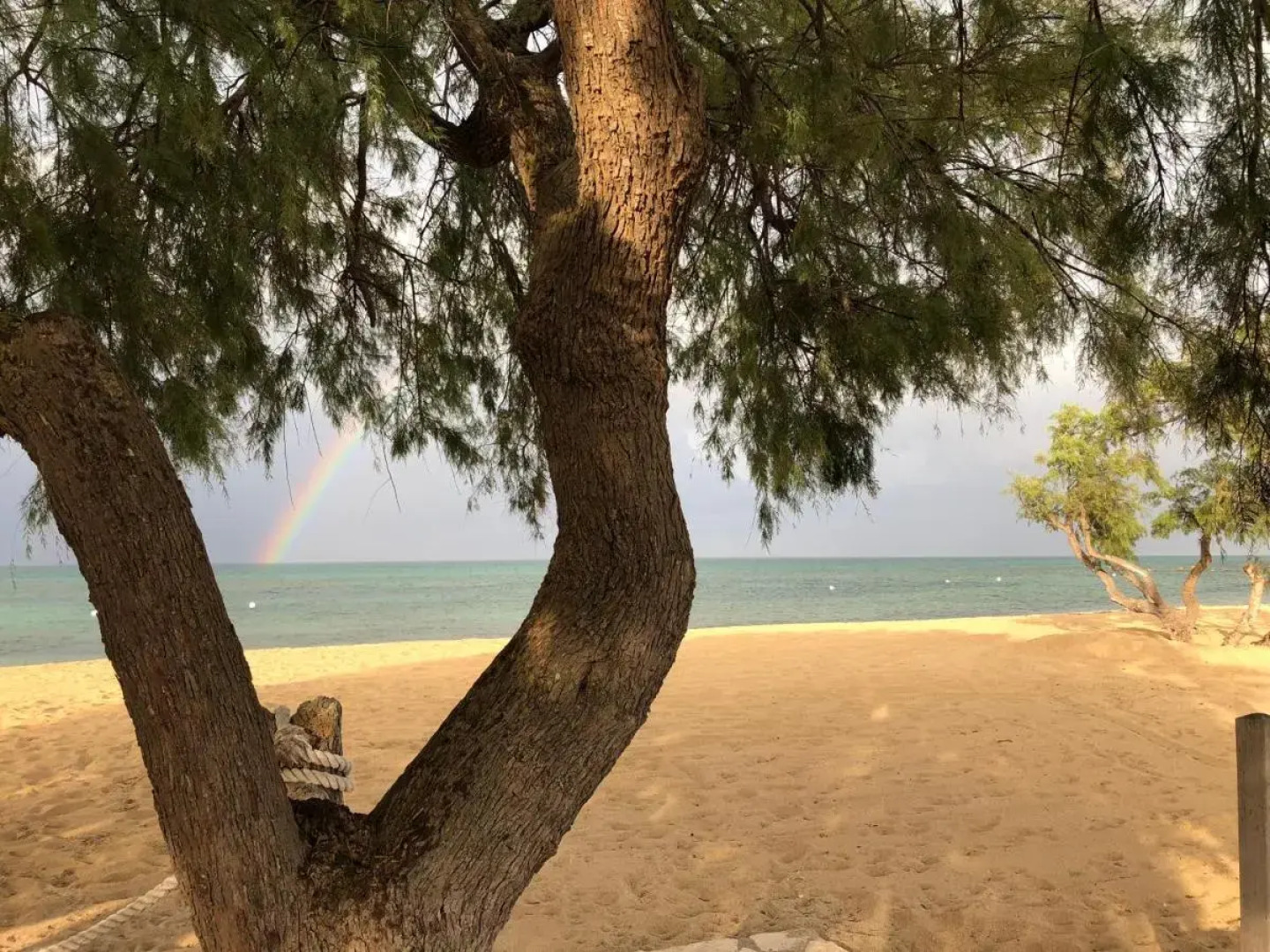 Racar Hotel & Resort