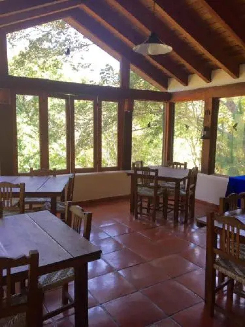 La Galerita De San Sebastian