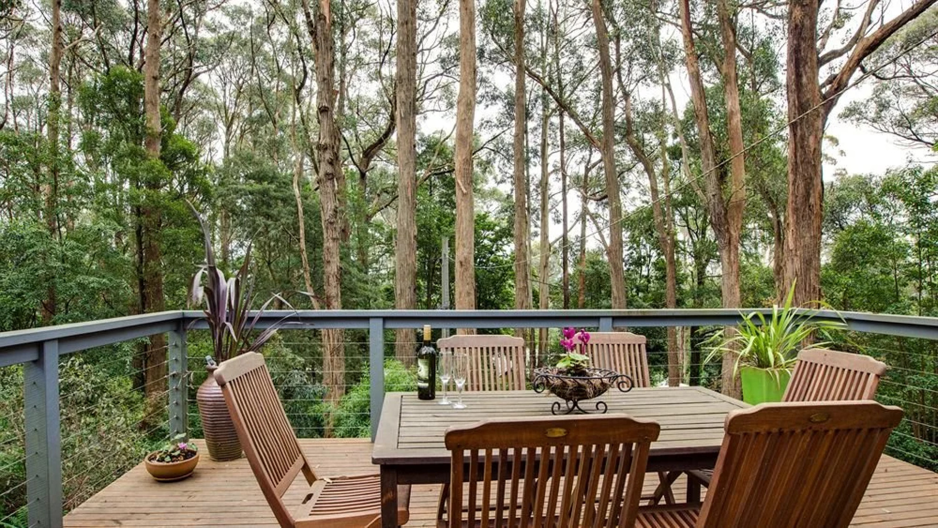 Wild Patch Retreat & Gourmet Chocolate Maker