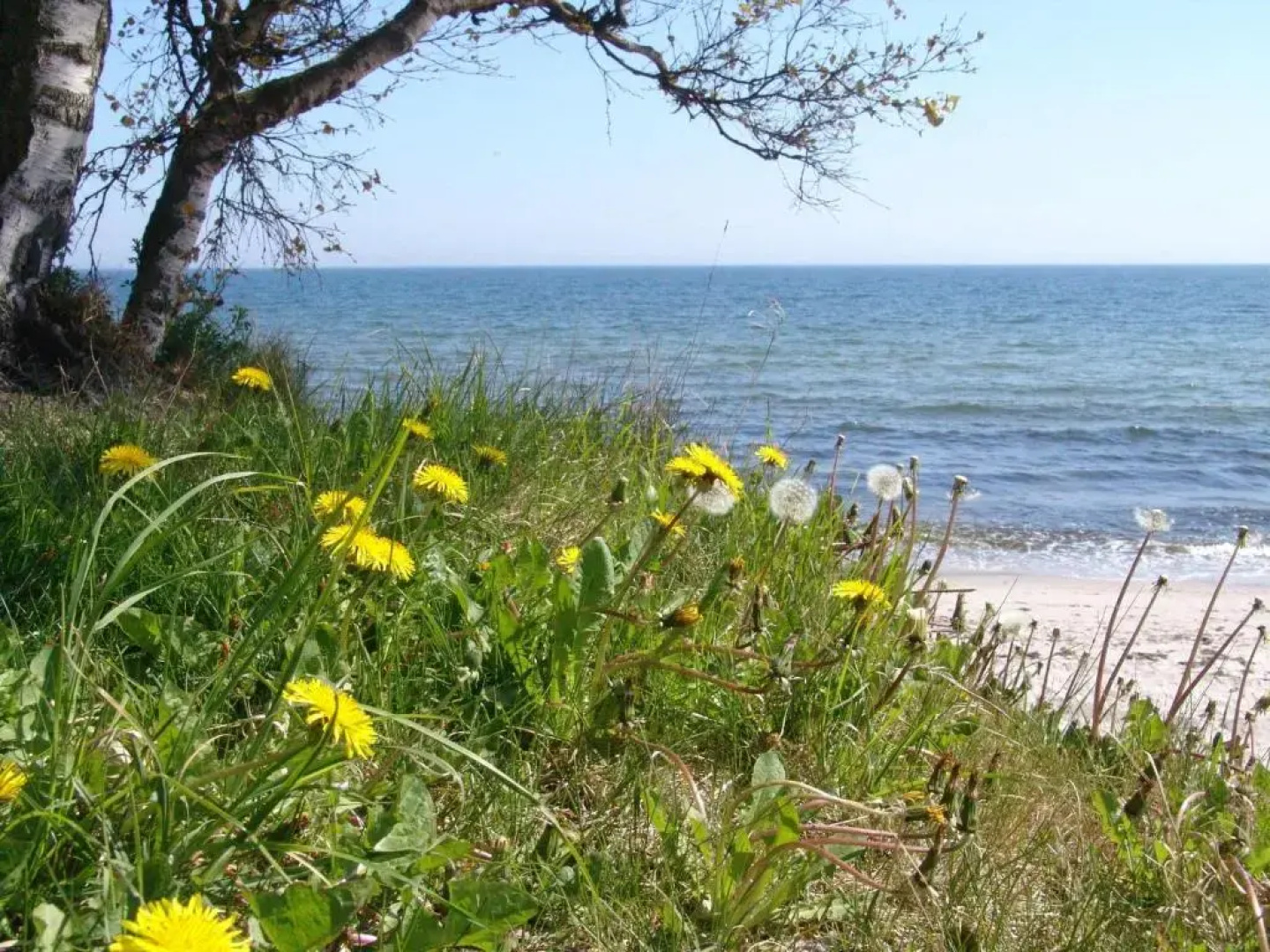 Ystad Camping